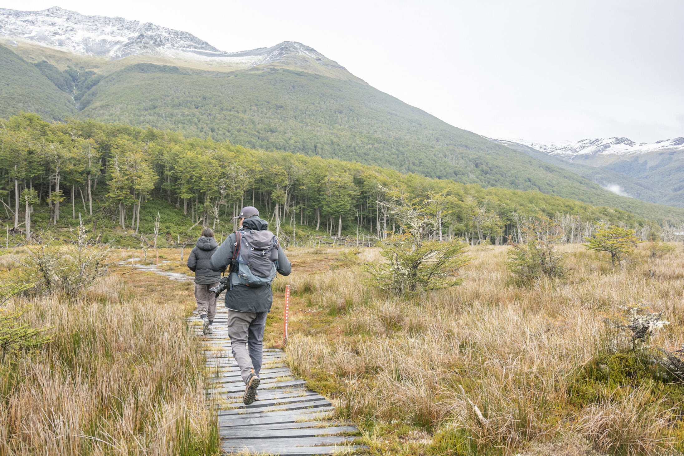 Provincia de Tierra del Fuego