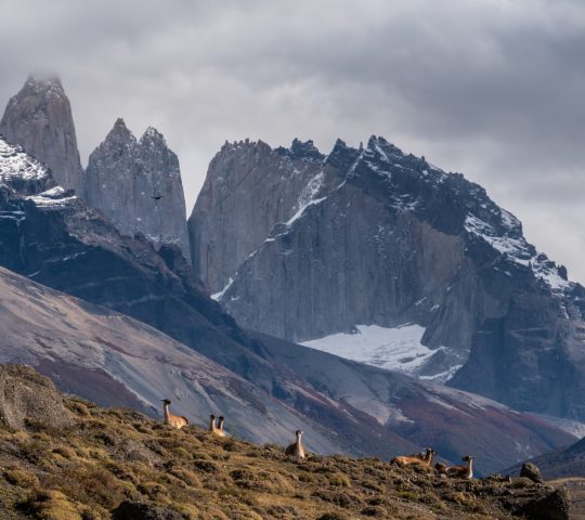 Parque Nacional Torres del Paine