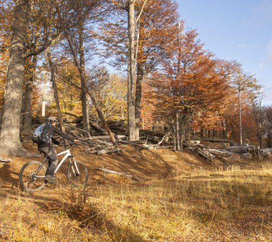 Parque Karukinka