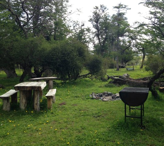 Camping Pingo Salvaje