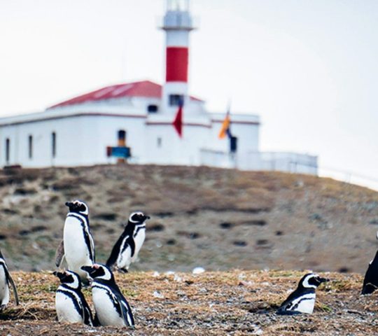 Monumento Natural Los Pingüinos