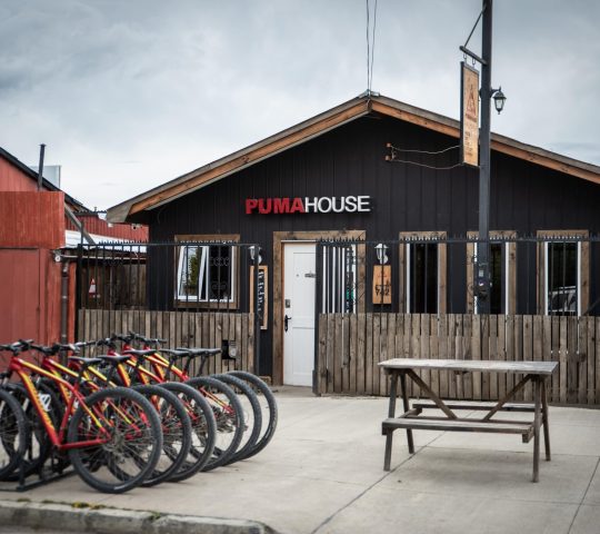 Puma House