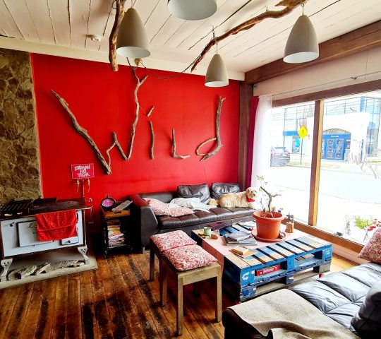 Wild Cerveceria & Restobar